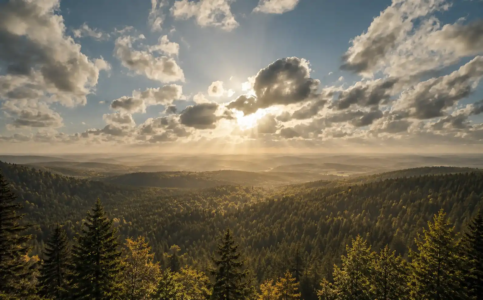 Weite Waldlandschaft mit Sonnenlicht und Blick über die Natur als Symbol für Transparenz, Verantwortung und Vertrauen. Das Bild begleitet die rechtlichen Informationen von agil-beraten.de wie Impressum, Datenschutz und Cookie-Richtlinien und steht für Offenheit, Nachhaltigkeit und Verlässlichkeit.